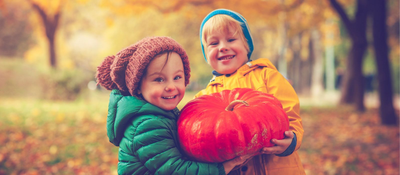 Family Friendly Midterm Hotel Breaks North County Dublin | Bracken Court Hotel