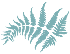 Bracken logo colour leaf cms-bracken-court