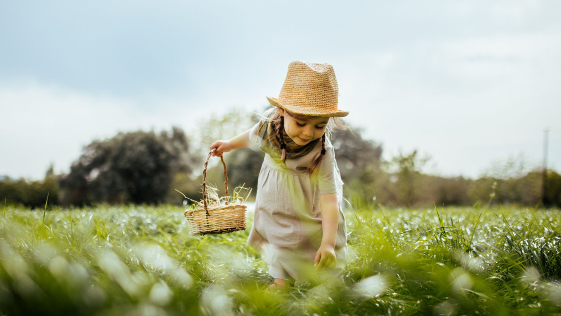 Bch website  x cms-bracken-court