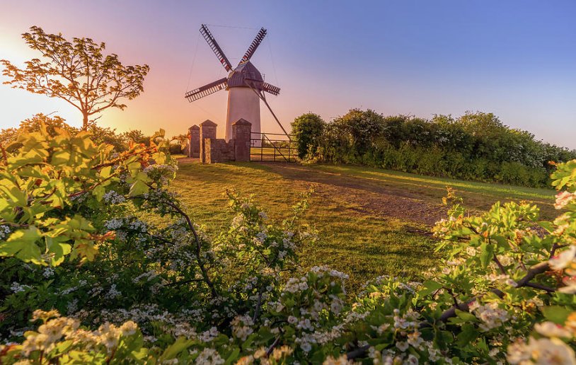 Skerries windmill cms-bracken-court