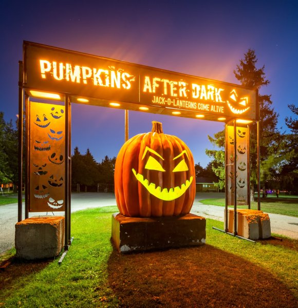 Pumpkin After Dark