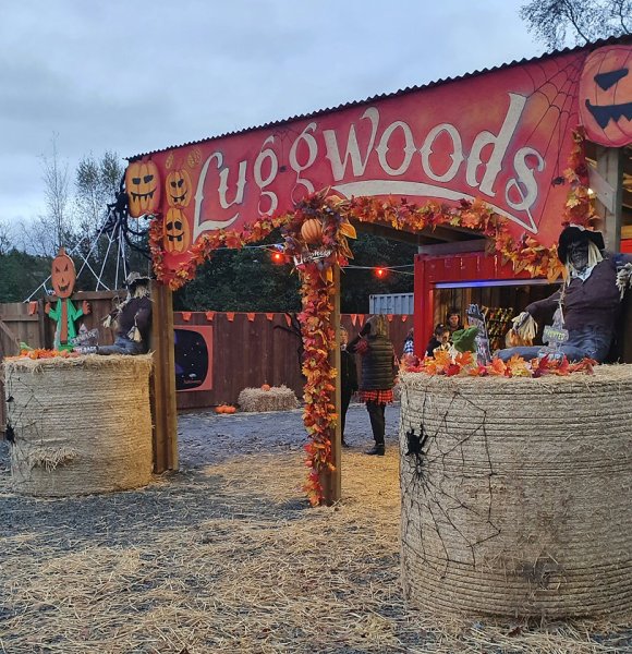 Luggwoods Halloween