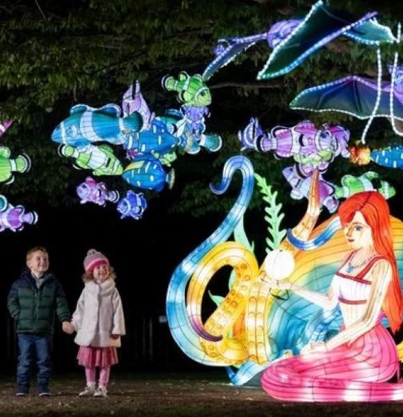 Dublin Zoo “Wild Lights”